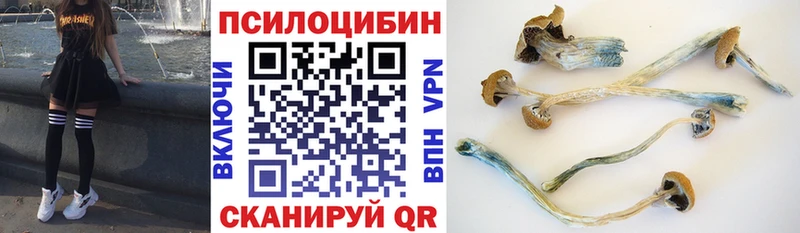 hydra зеркало  Ворсма  Псилоцибиновые грибы Cubensis 